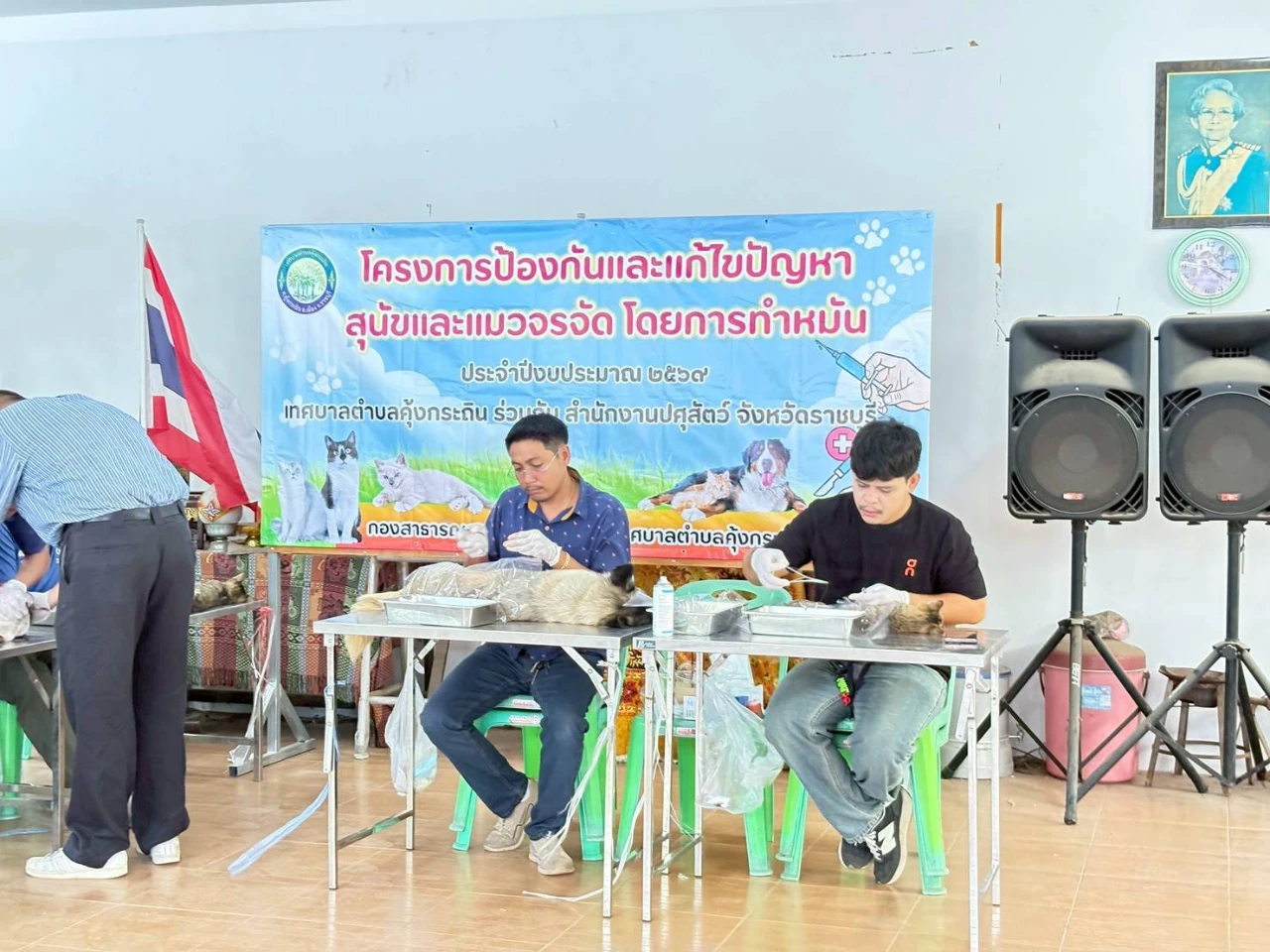 catalogs_file_434_3_15_868781.webp