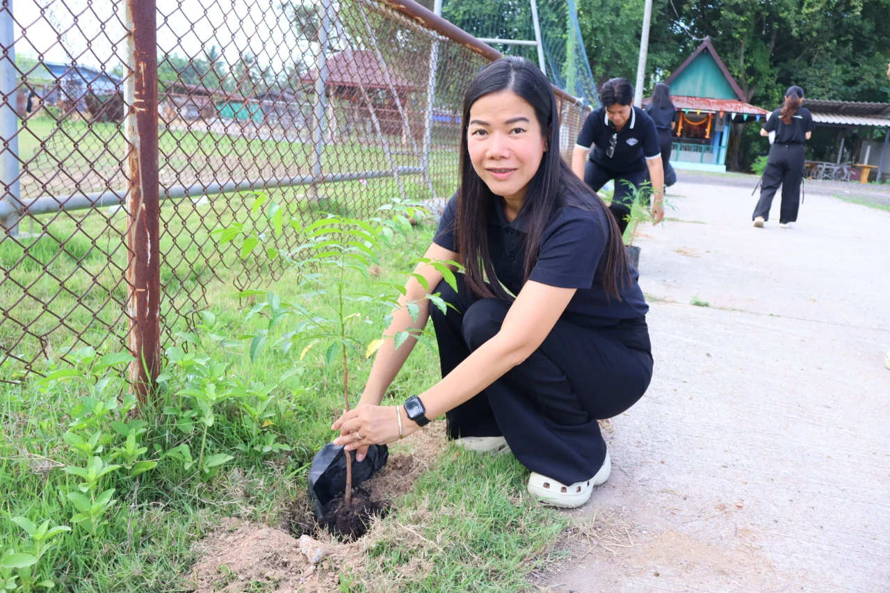catalogs_file_440_9_49_743774.webp